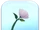 T-meg-2.png