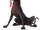 Cp-dante.png