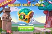 Bundle (TR Event)