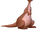 Cp-kanga.png