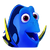 Dory