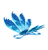 Shimmyfly