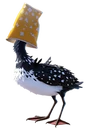 Becky's Popcorn Cup