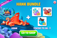 Hank Bundle