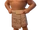 Cp-moni.png