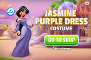 Jasmine Costume Bundle