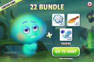22 Bundle