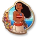 Brave Navigator Pin