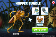 Hopper Bundle