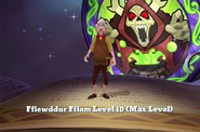 (Max level)