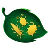 A Bug's Life