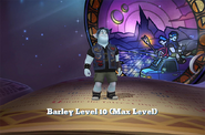 (Max level)