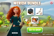 Merida Bundle