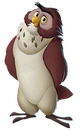 Owl