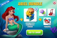 Ariel Bundle