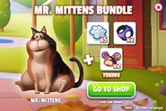 Mr. Mittens Bundle