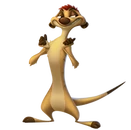 Timon