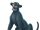 Bagheera