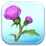 Thistle Flower Token