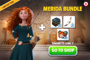 Merida Bundle