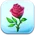 Rose Token