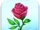 Rose Token