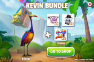 Kevin Bundle