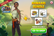 Namaari Bundle