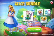 Alice Bundle