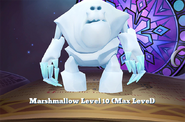 (Max level)
