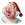 Mr. Smee