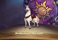 Clu-maximus-11.png (655 KB) (Max Level)