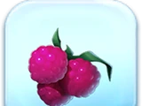Raspberries Token