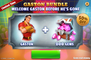 Gaston Bundle