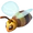 Honey Bees