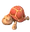 Turtles