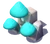 Anthill Mushrooms