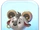 Djali Ears Hat Token