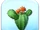 Isabela's Cactus Token