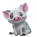 Pua