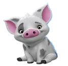 Pua