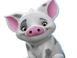 Pua