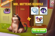 Mr. Mittens Bundle