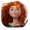 Merida