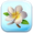 Pua Melia Flower Token