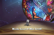 (Max Level)