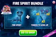 Fire Spirit Bundle