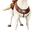 Maximus