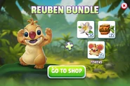 Reuben Bundle