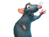 Remy